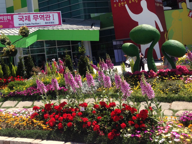 꽃으로 표현해요
