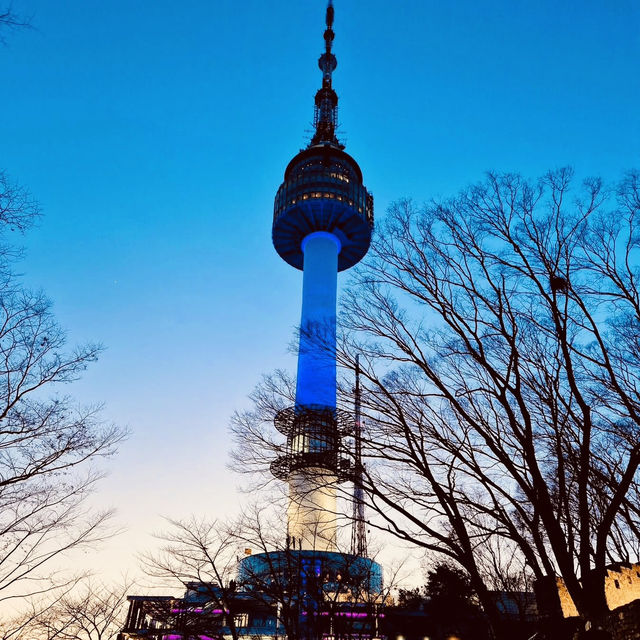 Seoul from the Clouds: A Solo Traveler’s Guide to N Seoul Tower"** 🌆🚠