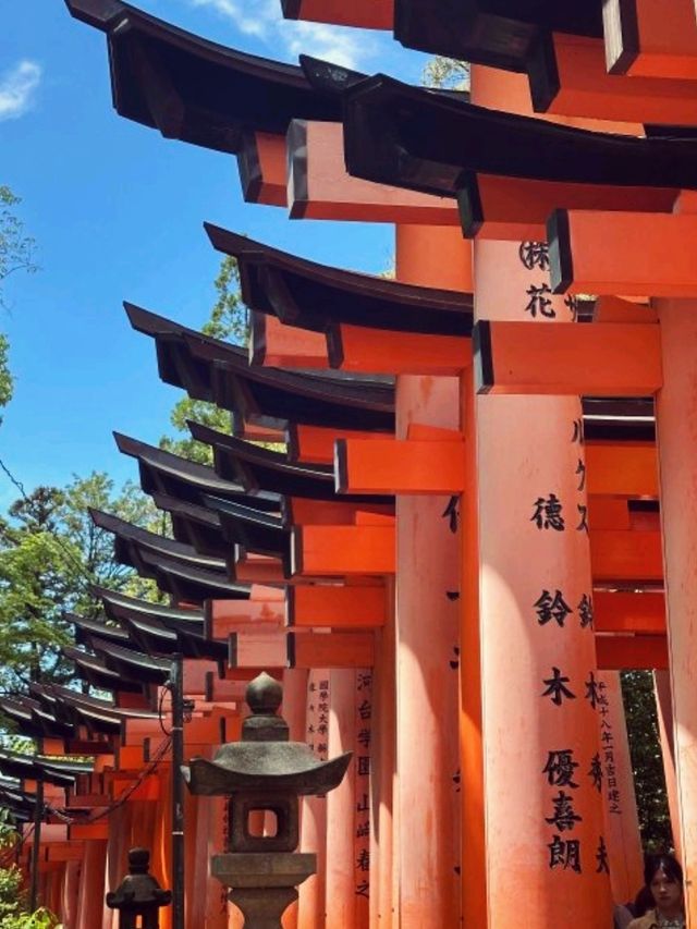 京都必去景點（二）伏見稻荷大社