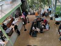 Glasshopper Cafe: A Glasshouse Escape in Kuala Lumpur