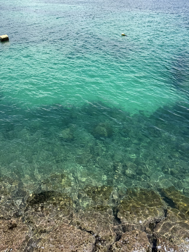 제주도 여행 