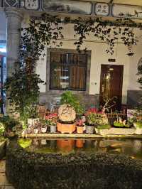 Dali in February BnB