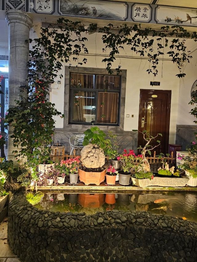 Dali in February BnB