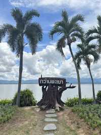 เที่ยวทะเลสาบน้ำจืด •กว๊านพะเยา•