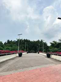 A Tranquil Escape at Taman Tasik Cyberjaya