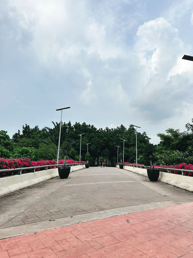 A Tranquil Escape at Taman Tasik Cyberjaya