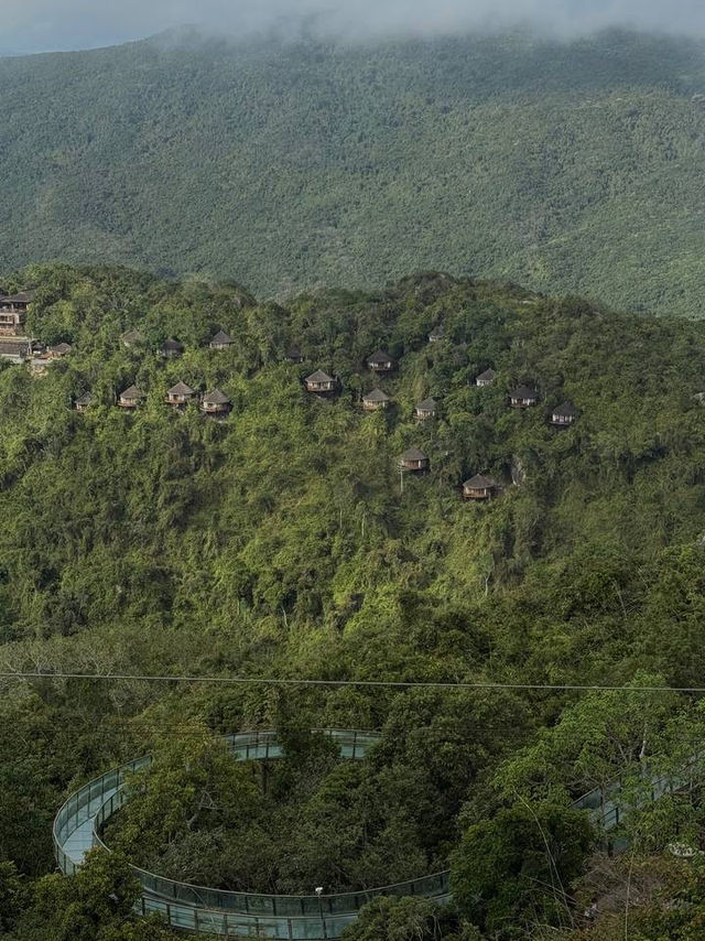 Another cool thing about Yalong Bay? The Yalong Bay Tropical Paradise Forest Park in the hills! 🌿