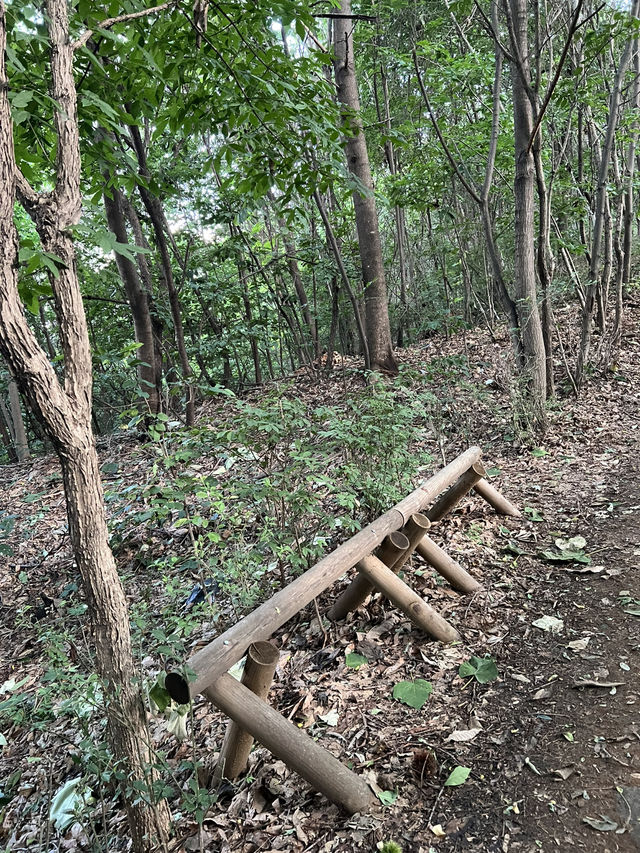 그린웨이 산책길