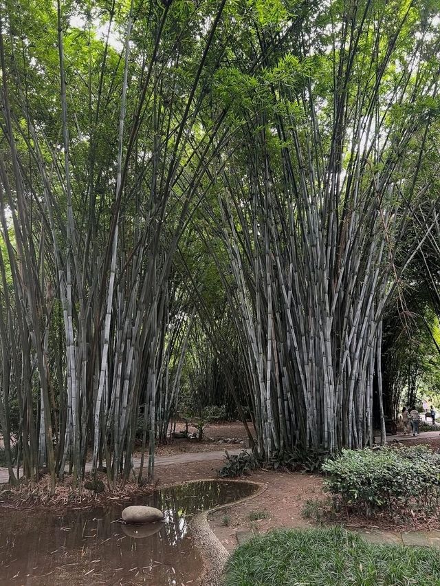 Chengdu’s Landmarks Are Chill, Cool, and Kinda Epic