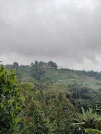 A Sip of Bali’s Soul: Tea & Coffee Tasting at the Plantation