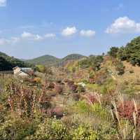 🏙️ 당진 여행 1박 2일 코스