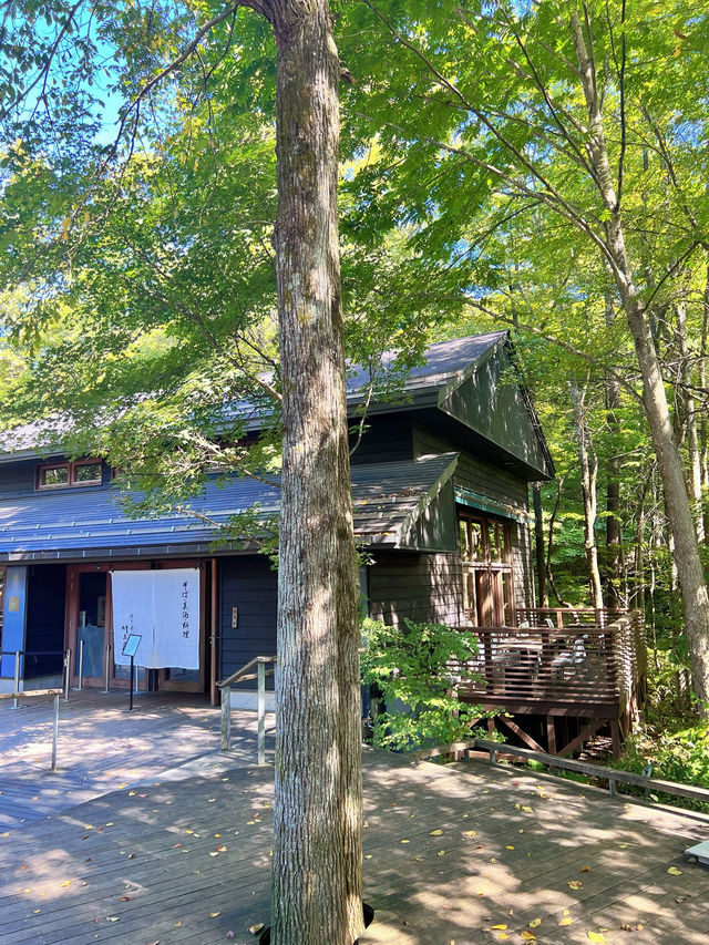 【軽井沢】涼を感じる🌿𓂃◌𓈒𓐍避暑地で夏を満喫