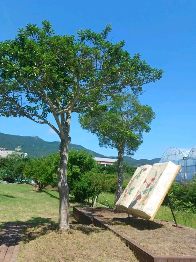 거제 식물원의 야외 공간