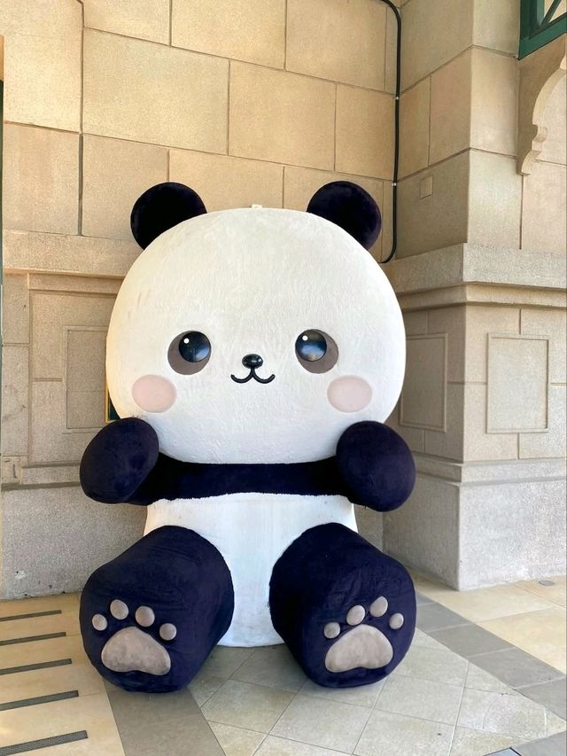 Thrills and Magic at Everland Korea