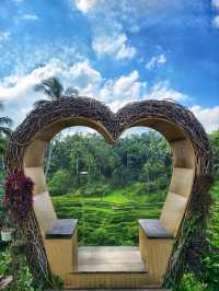Tegallalang Rice Terraces: Nature’s Beautiful Staircase