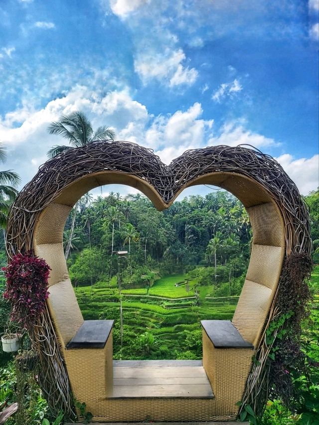 Tegallalang Rice Terraces: Nature’s Beautiful Staircase