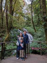 เดินhikeที่กิ่วแม่ปาน