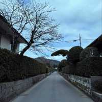 鹿児島県南九州市にある「知覧武家屋敷庭園」は、江戸時代の薩摩藩士たちが暮らした屋敷と美しい庭園が残る歴史地区🏡