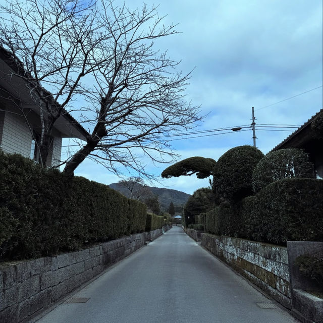 鹿児島県南九州市にある「知覧武家屋敷庭園」は、江戸時代の薩摩藩士たちが暮らした屋敷と美しい庭園が残る歴史地区🏡 鹿児島県南九州市にある「知覧武家屋敷庭園」は、江戸時代の薩摩藩士たちが暮らした屋敷と美しい庭園が残る歴史地区🏡