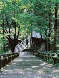 👣Family-Friendly Hike at Daluo Mountain｜Shiji Temple Mini Loop