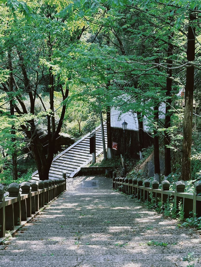 👣Family-Friendly Hike at Daluo Mountain｜Shiji Temple Mini Loop