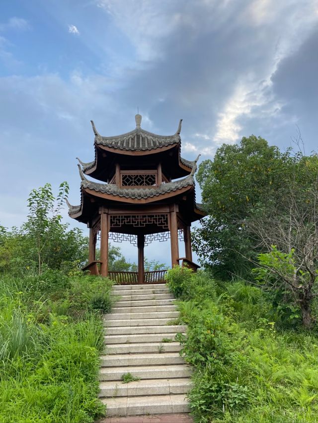 Chengdu Vibes: Chill Days, Spicy Nights