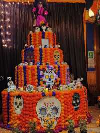 🌵 멕시코 여행 – 마야 문명과 태양 아래 펼쳐진 뜨거운 여정