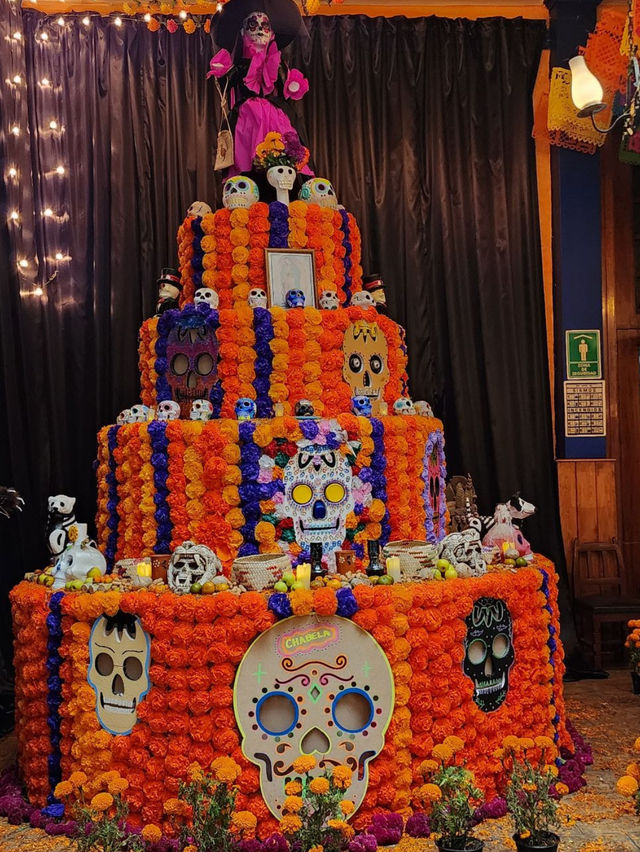 🌵 멕시코 여행 – 마야 문명과 태양 아래 펼쳐진 뜨거운 여정