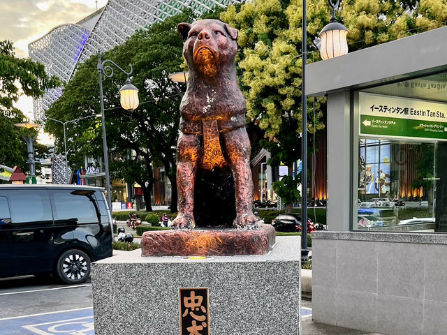 Little Shibuya in Chiangmai 