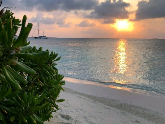 A Private Paradise: My Stay at Kandolhu Maldives