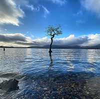 Reflections and Ripples: Magic at Milarrochy Bay