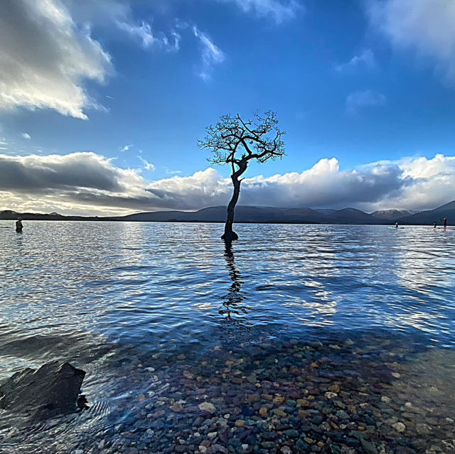 Reflections and Ripples: Magic at Milarrochy Bay