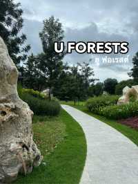 คาเฟ่ U FORESTS แกลง 