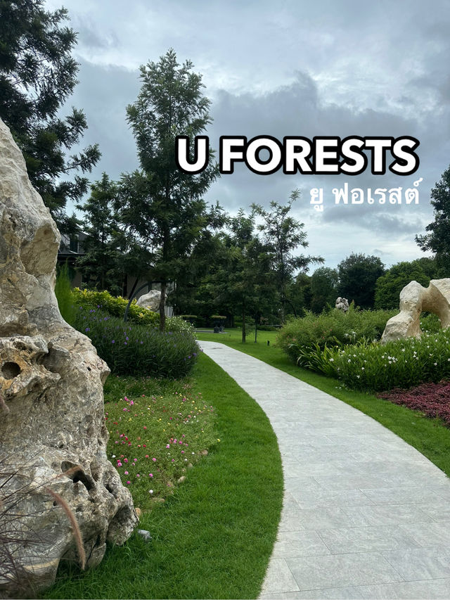 คาเฟ่ U FORESTS แกลง 