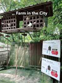 Farm in the City – Fun-Filled, Family-Friendly Zoo Adventure