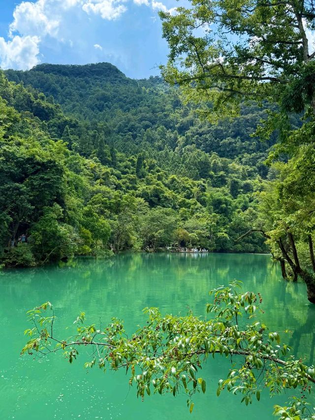 Unplug and Unwind in the Heart of Guizhou