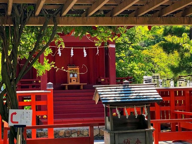 Tsurugaoka Hachimangu – The Spiritual Heart of Kamakura ⛩️