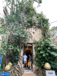 ชมโบสถ์ปรกโพธิ์วัดบางกุ้ง🌿