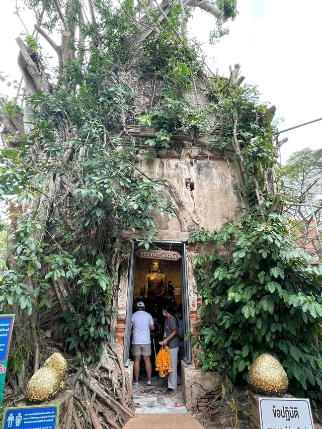 ชมโบสถ์ปรกโพธิ์วัดบางกุ้ง🌿