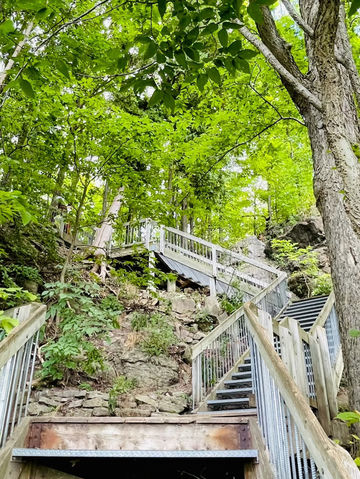 Rattlesnake Point Conservation Area – Clifftop Views and Rugged Trails Rattlesnake Point Conservation Area – Clifftop Views and Rugged Trails