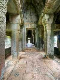 Angkor Archaeological Park – A Journey Through Time 🌿