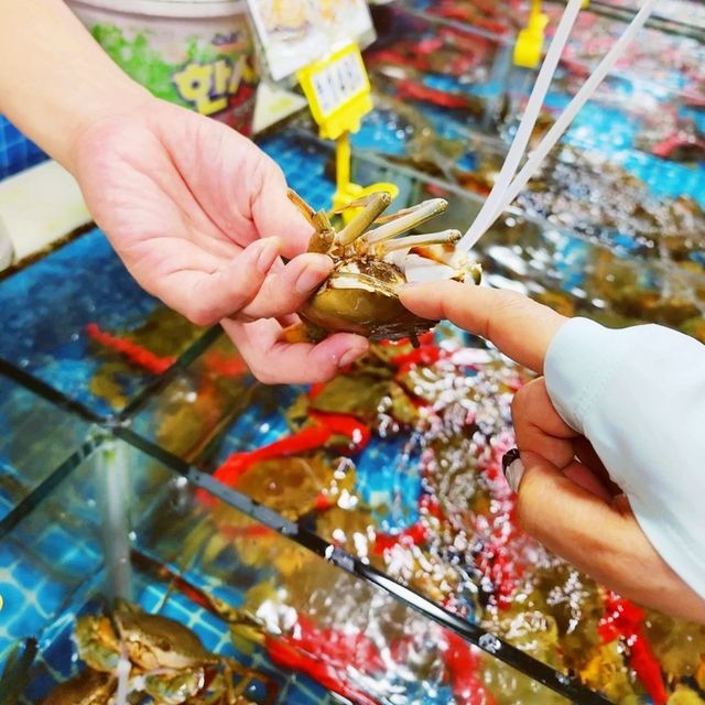 本地人推薦-台山海鮮一條街🐟🦐🦀