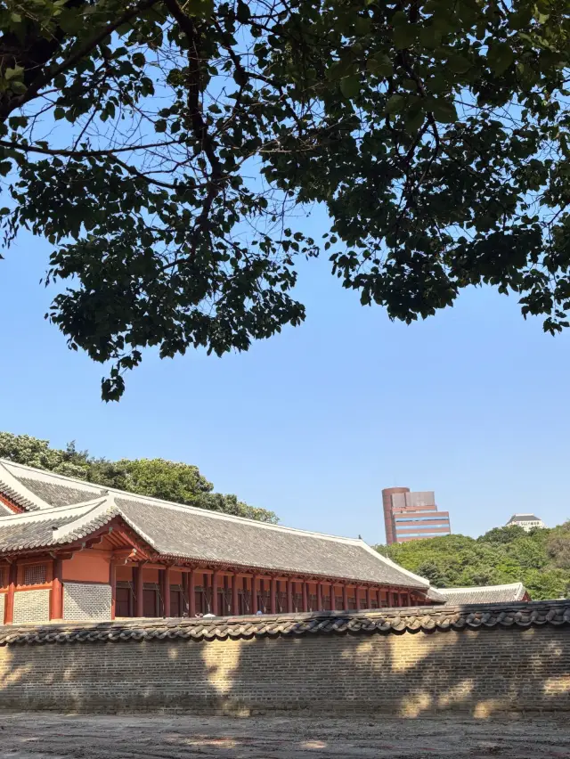 A Serene and Meditative Escape from the City