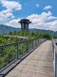 Qiandao Lake: The Shimmering Sea of a Thousand Islands