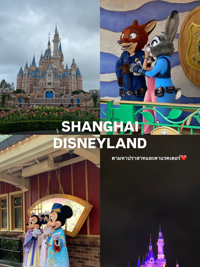 Shanghai disneyland 🏰