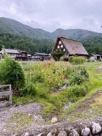 Skip the Filters, Try the Onigiri: Shirakawa-go in September