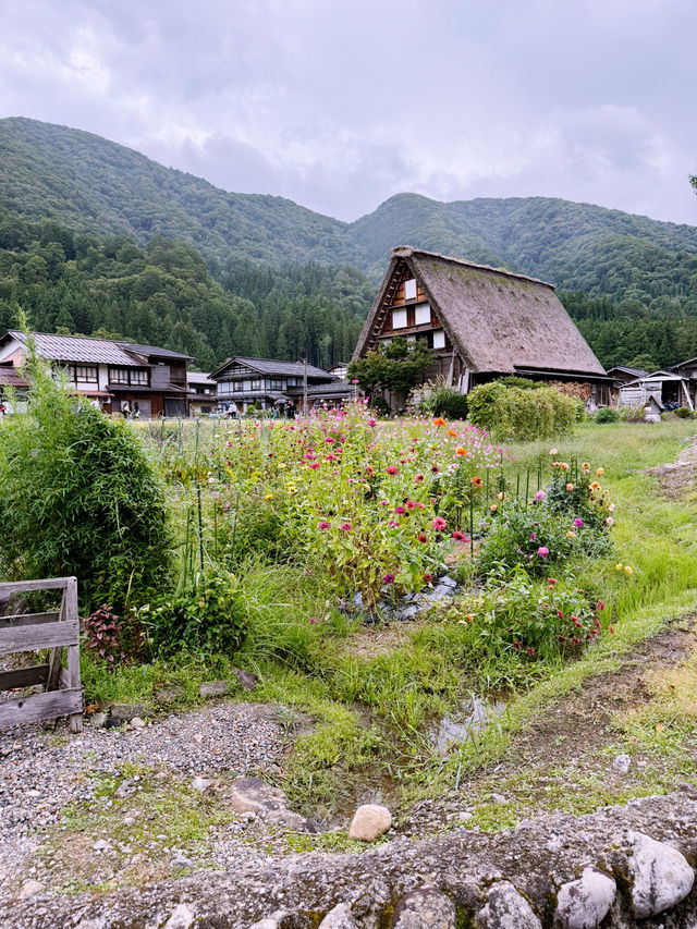 Skip the Filters, Try the Onigiri: Shirakawa-go in September