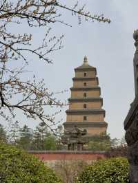 Pagoda Tranquility🌳