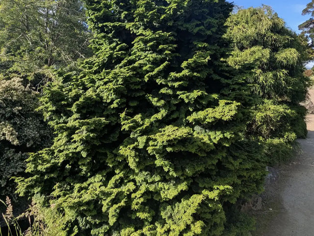 Dunedin Botanic Garden