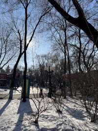 ☀️❄️ Discovering Tai Yang Island in Harbin 🏝️✨  